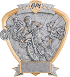 Shield Series Silver and Gold Sport Activity Resin Plates | 24 STYLES