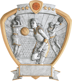 Shield Series Silver and Gold Sport Activity Resin Plates | 24 STYLES