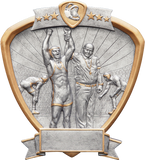 Shield Series Silver and Gold Sport Activity Resin Plates | 24 STYLES