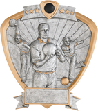 Shield Series Silver and Gold Sport Activity Resin Plates | 24 STYLES
