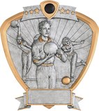 Shield Series Silver and Gold Sport Activity Resin Plates | 24 STYLES