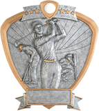 Shield Series Silver and Gold Sport Activity Resin Plates | 24 STYLES
