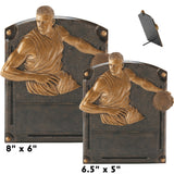 Legends of Fame Series Antique Gold Resin Plate Plaques  | 2 SIZES | 45 STYLES