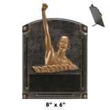 Legends of Fame Series Antique Gold Resin Plate Plaques  | 2 SIZES | 45 STYLES