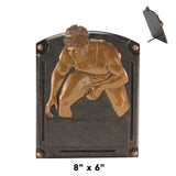 Legends of Fame Series Antique Gold Resin Plate Plaques  | 2 SIZES | 45 STYLES