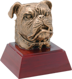 RC / RS Series Sport, Activity, and Mascot Resin Awards | 59 STYLES