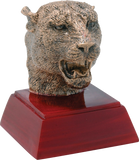 RC / RS Series Sport, Activity, and Mascot Resin Awards | 59 STYLES
