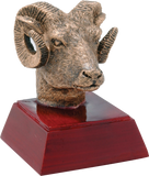 RC / RS Series Sport, Activity, and Mascot Resin Awards | 59 STYLES