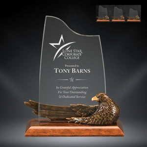 GreyStone Resin & Acrylic Eagle Award with stretched out Wing | 3 SIZES