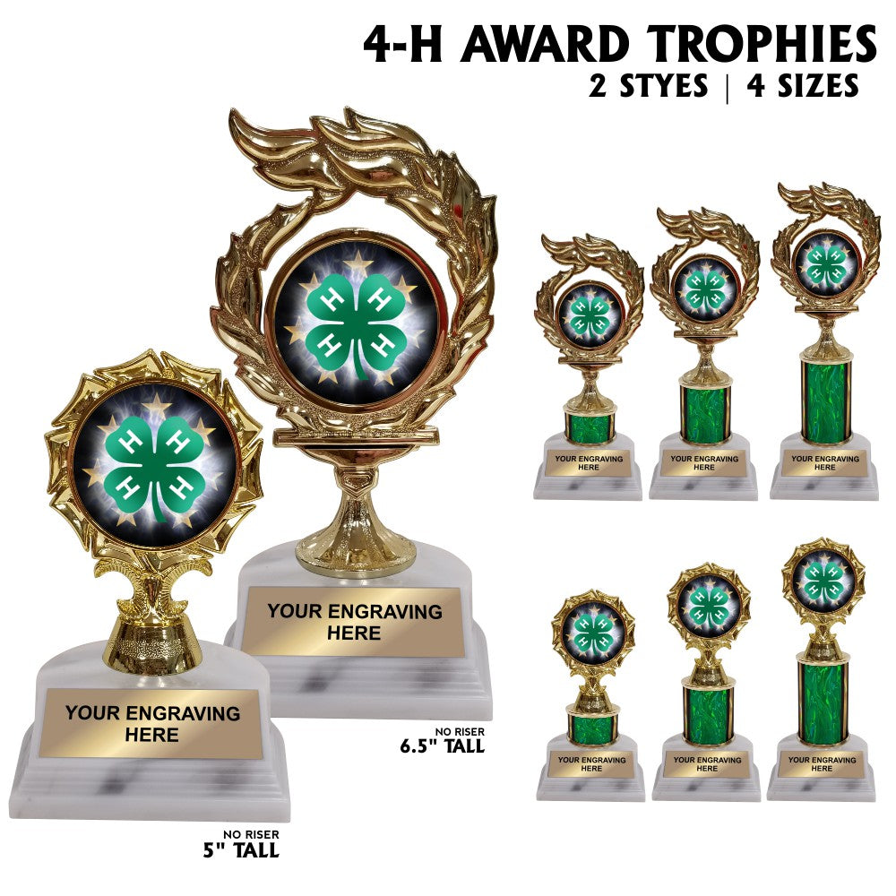 Recognition Awards & Medals | Engraved Trophies - Alexandria, LA ...