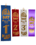 2" x 8" Field Day Event Ribbons with card on back | 1st 2nd 3rd PLACE