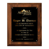 LA Trophies - Extra Large Size Plaque with Solid Color Plate and GOLD Engraving - 12x15 | 5 PLATE COLORS