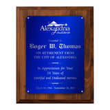 LA Trophies - Extra Large Size Plaque with Solid Color Plate and SILVER Engraving - 12x15 | 5 PLATE COLORS