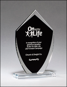Airflyte 3/8" thick Shield Shaped Glass Award with Black Silk Screened Center | 3 SIZES