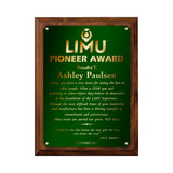 LA Trophies - Large Size Plaques with Solid Color Plate and GOLD Engraving - 9x12, 10.5x13 | 5 PLATE COLORS