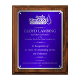 LA Trophies - Large Size Plaques with Solid Color Plate with Silver Accent and SILVER Engraving - 9x12, 10.5x13 | 5 PLATE COLORS