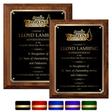 LA Trophies - Large Size Plaques with Solid Color Plate with Gold Accent and GOLD Engraving - 9x12, 10.5x13 | 5 PLATE COLORS