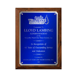LA Trophies - Large Size Plaques with Solid Color Plate with Silver Accent and SILVER Engraving - 9x12, 10.5x13 | 5 PLATE COLORS
