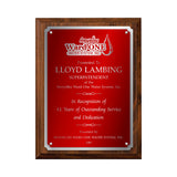 LA Trophies - Large Size Plaques with Solid Color Plate with Silver Accent and SILVER Engraving - 9x12, 10.5x13 | 5 PLATE COLORS