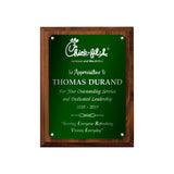 LA Trophies - Medium Size Plaques with Solid Color Plate and SILVER Engraving - 6x8, 7x9, 8x10 | 5 PLATE COLORS