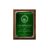 LA Trophies - Medium Size Plaques with Solid Color Plate with Silver Accent and SILVER Engraving - 6x8, 7x9, 8x10 | 5 PLATE COLORS