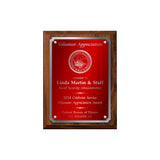 LA Trophies - Medium Size Plaques with Solid Color Plate with Silver Accent and SILVER Engraving - 6x8, 7x9, 8x10 | 5 PLATE COLORS