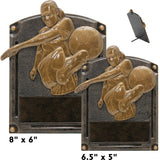 Legends of Fame Series Antique Gold Resin Plate Plaques  | 2 SIZES | 45 STYLES