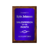 LA Trophies - Small Plaques with Solid Color Plate and SILVER Engraving - 4x6, 5x7 | 5 PLATE COLORS